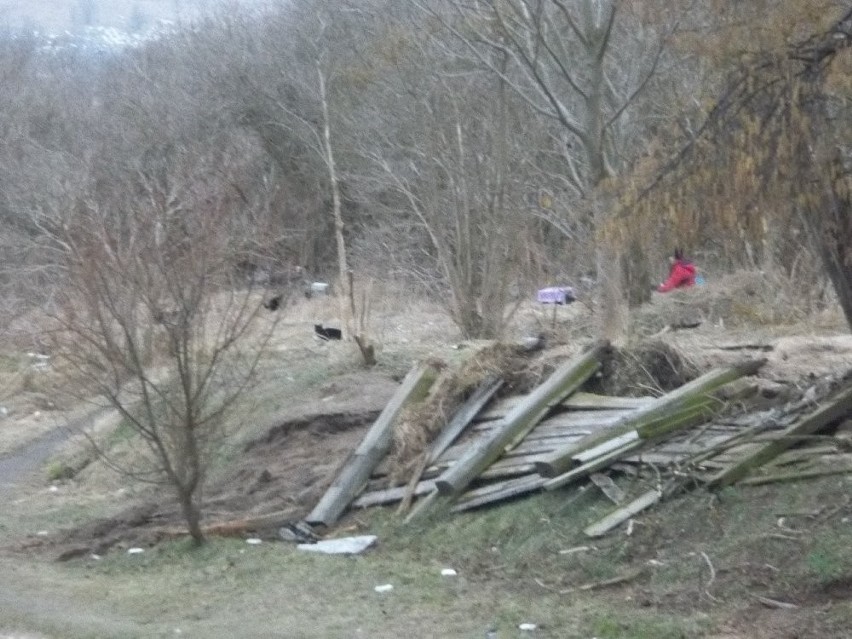 Gdańsk: Buldożery poraniły koty w miejscu byłej lisiarni na Oruni [ZDJĘCIA]