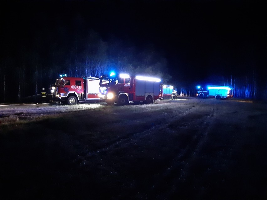 Gmina Drużbice: Strażacy wyjechali do pożaru poszycia leśnego [ZDJĘCIA]