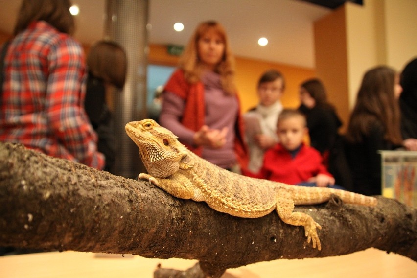 Noc Biologów na Uniwersytecie Śląskim [ZDJĘCIA]