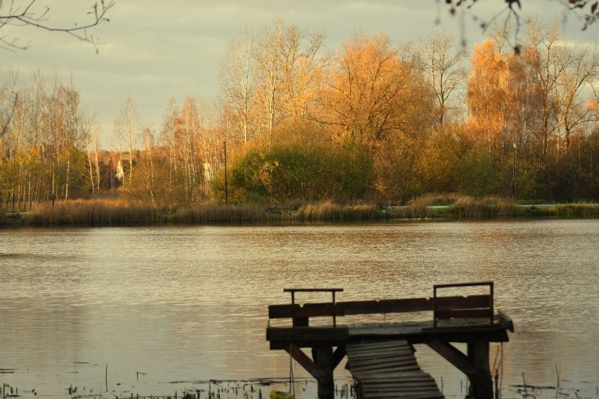 Basen w Kunicach jesienią