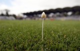 Wrocław: Stadion na Euro 2012 dostanie pechową trawę