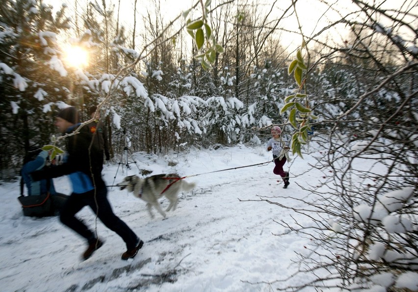 Najlepsze zdjęcia roku 2012 fotoreporterów DZ [SPORT]