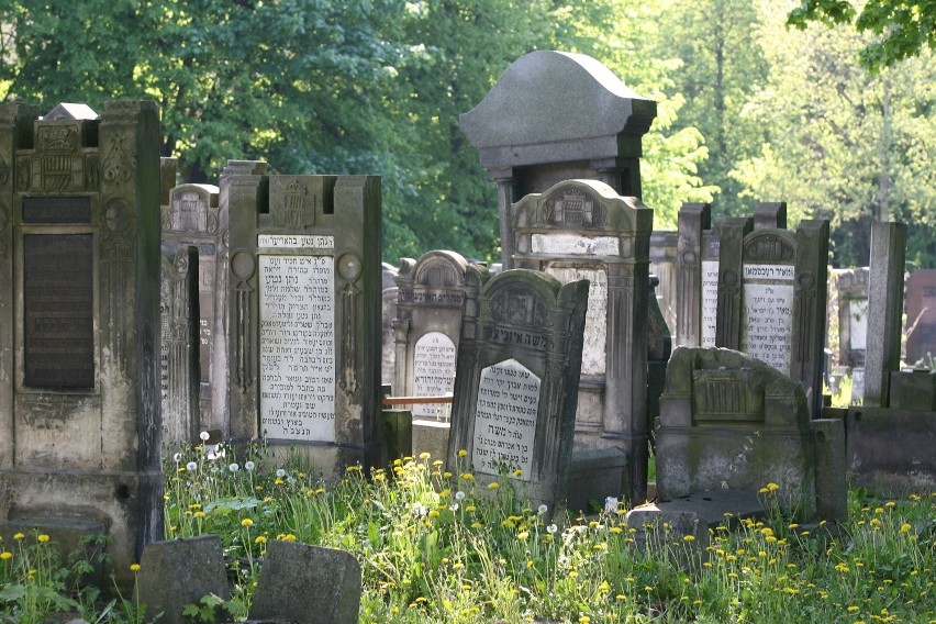 Odkrywamy Łódzkie: Cmentarz Żydowski w Łodzi [ZDJĘCIA]