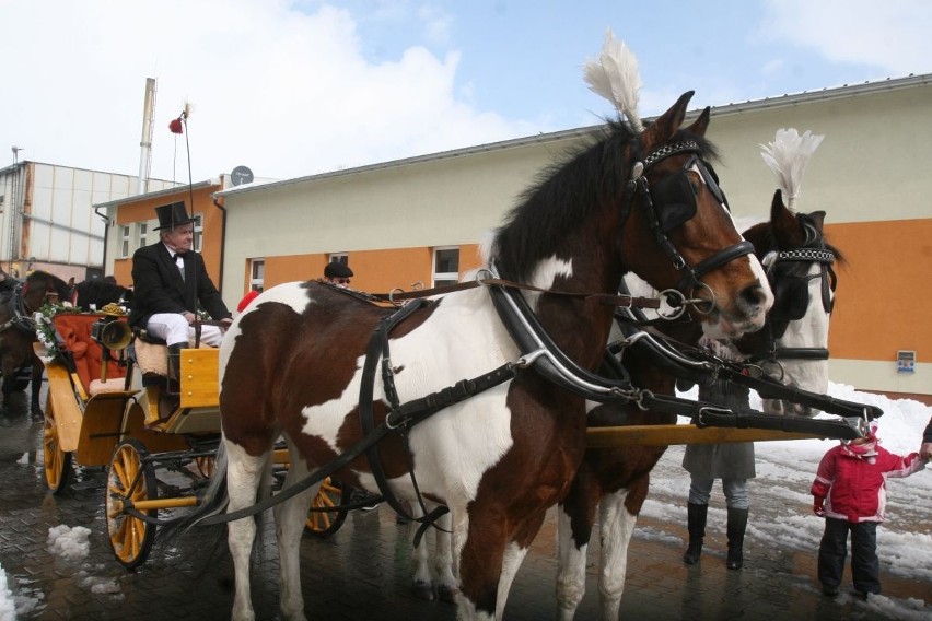 Arcybiskup Wiktor Skworc na procesji konnej w Pietrowicach Wielkich [ZDJĘCIA]