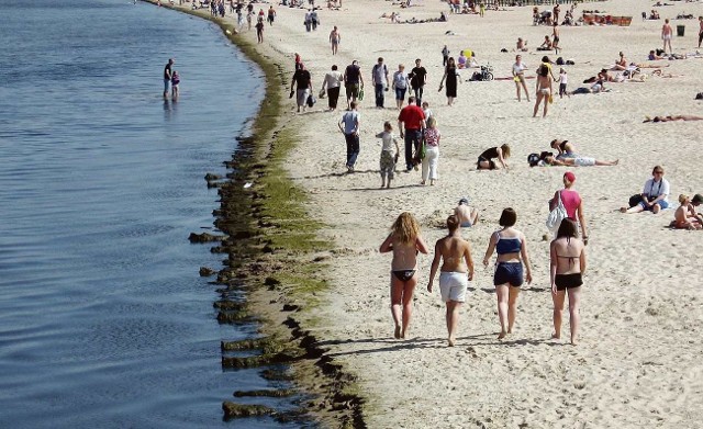 Każdego roku na plaże położone nad Morzem Bałtyckim, ale także nad zatoką, trzeba dosypywać piasek. Najlepszy jest ten wydobyty z dna Bałtyku - zgodnie twierdzą specjaliści