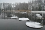 LESZNO. Zima zostanie z nami na dobre? Leszno i okolice w okowach zimy oraz mgły - tak wygląda w regionie niedziela, 5 grudnia 2021r. [FOTO]