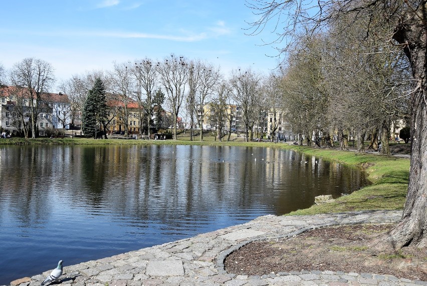 PARK WIOSNY LUDÓW