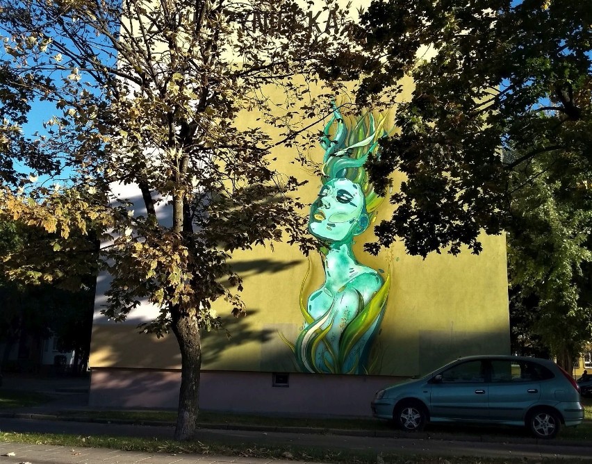 Ul. Zwierzyniecka 5. Mural Matka Natura - Biała