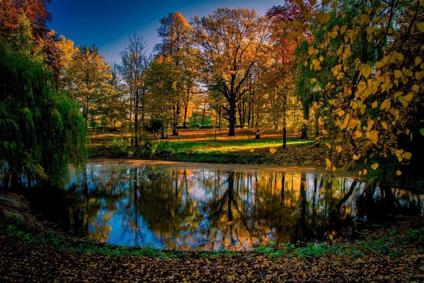 Cudowny park książański w jesiennych barwach (ZDJĘCIA)