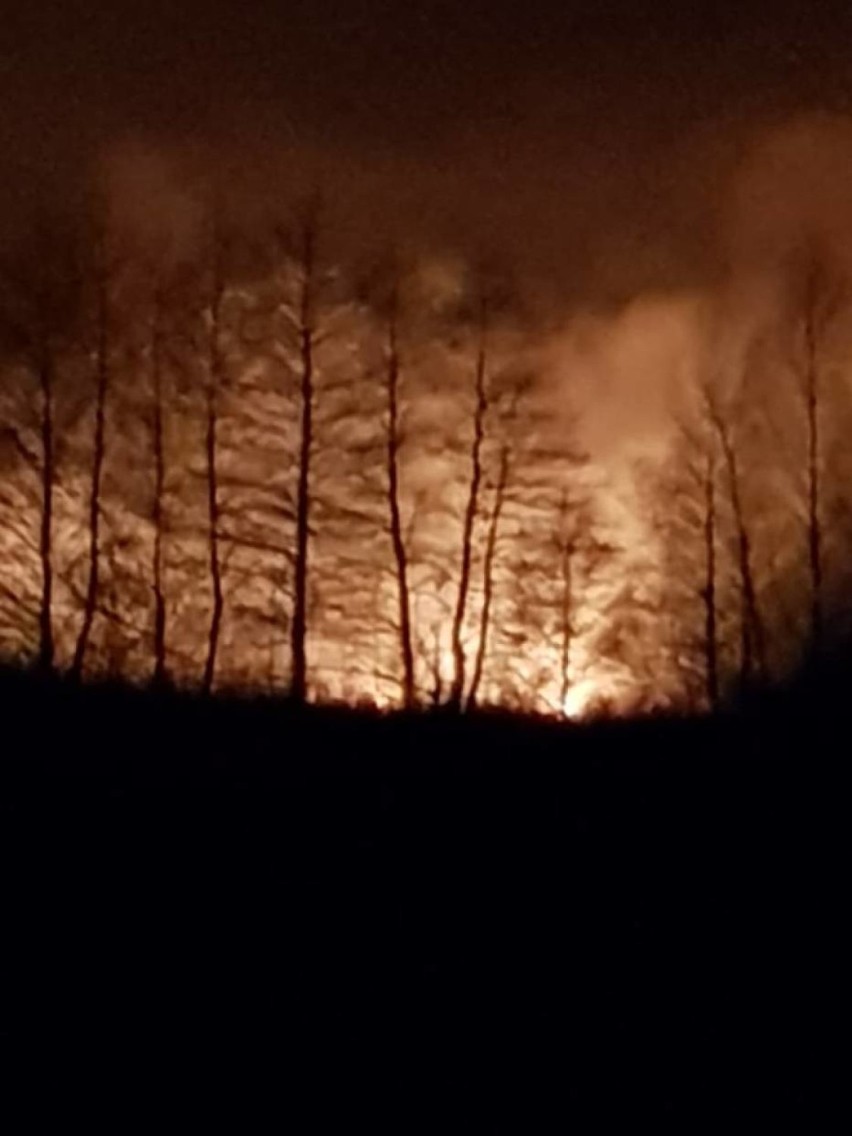 Plaga pożarów we Włocławku i powiecie włocławskim [zdjęcia, wideo]