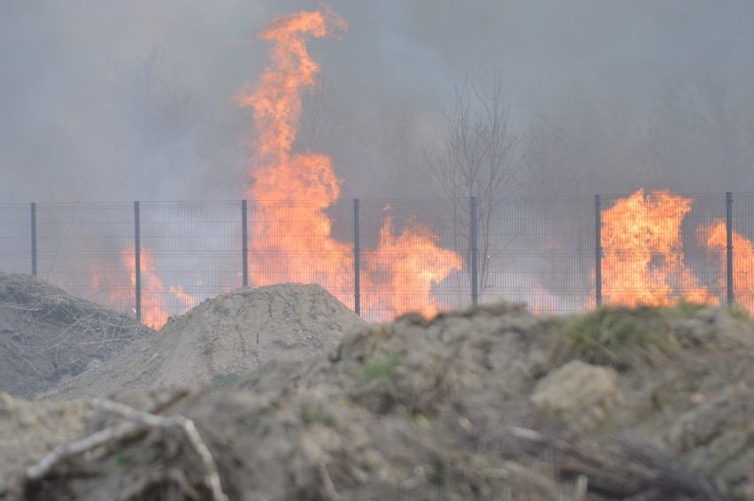 Duży pożar w Sokołowicach (FOTO)              