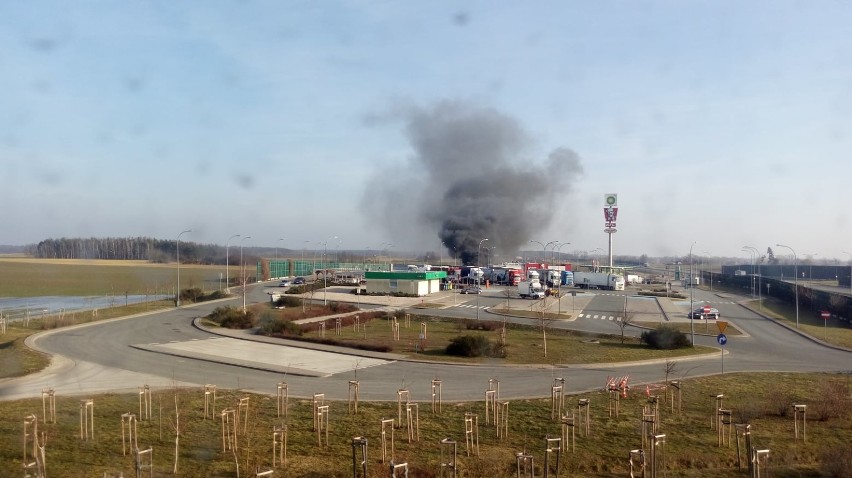 Pożar samochodu dostawczego pod Włocławkiem