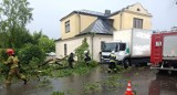 Połamane drzewa, fruwające gałęzie i uszkodzone samochody. To skutki wczorajszej burzy w Zamościu i powiecie zamojskim 