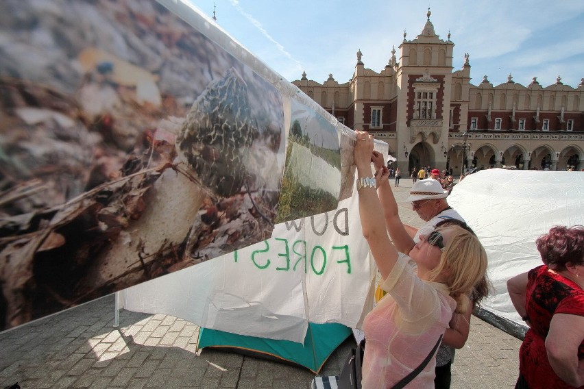 Trwa protest na krakowskim Rynku [ZDJĘCIA]