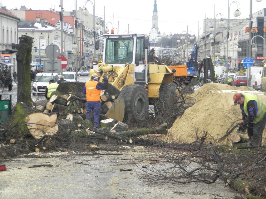 Rzeź drzew na II alei w Częstochowie [ZDJĘCIA]