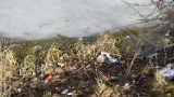 Puszki, butelki, plastiki i wiele innych śmieci przy Zalewie Wolbromskim. To pozostałości po odbywających się tam imprezach [ZDJĘCIA]