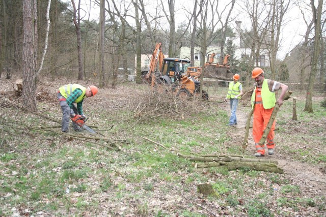 Na zdjęciu: pracownicy firmy "K. Sadzikowski" przygotowują teren