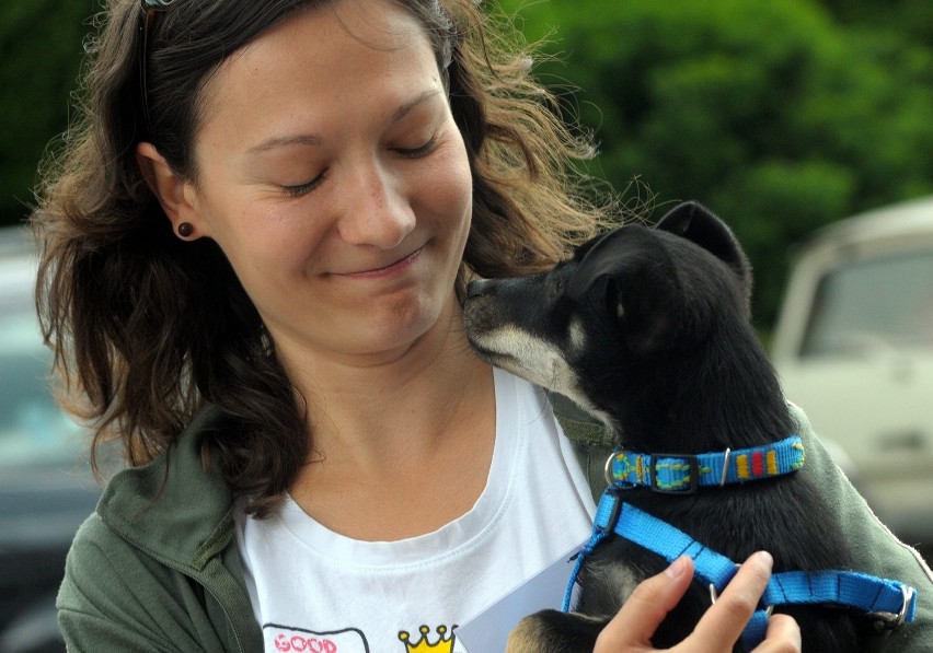 Akcja adopcyjna psów ze schroniska: Czekan znalazł dom