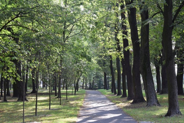 Duży park miejski w Oleśnie.