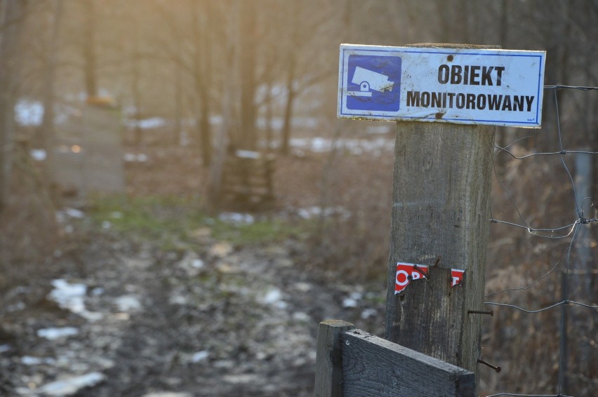 Ktoś wytruł pszczelarzowi z Nysy całą pasiekę. Kilkanaście...