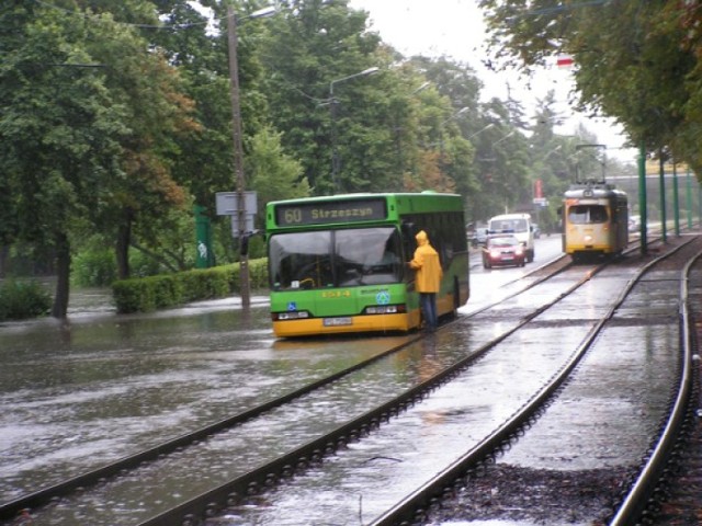 powódź, ulewa, zalane ulice