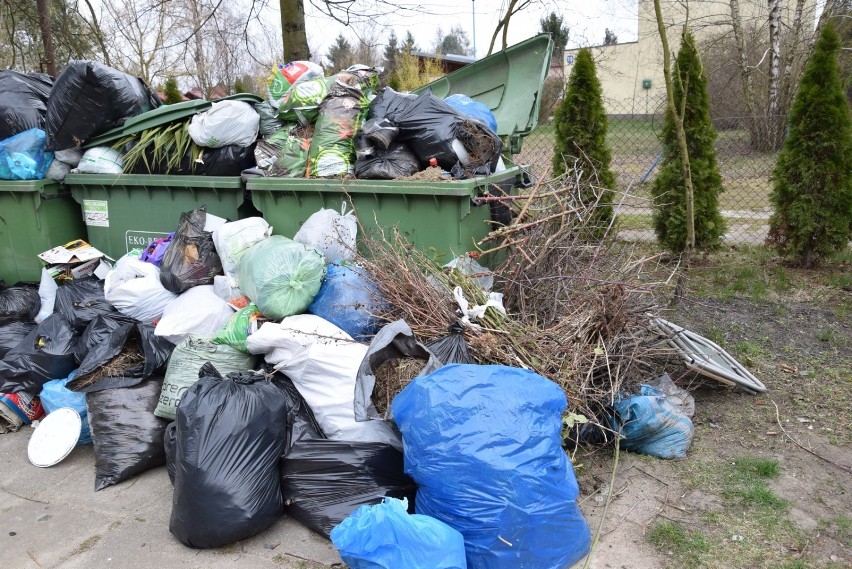 Śmieci wysypują się z kontenerów na terenie działek ROD przy ulicy Strobowskiej