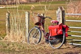 Majówka 2018: rowerowa trasa Green Velo zaprasza. Od szumów do stadniny koni