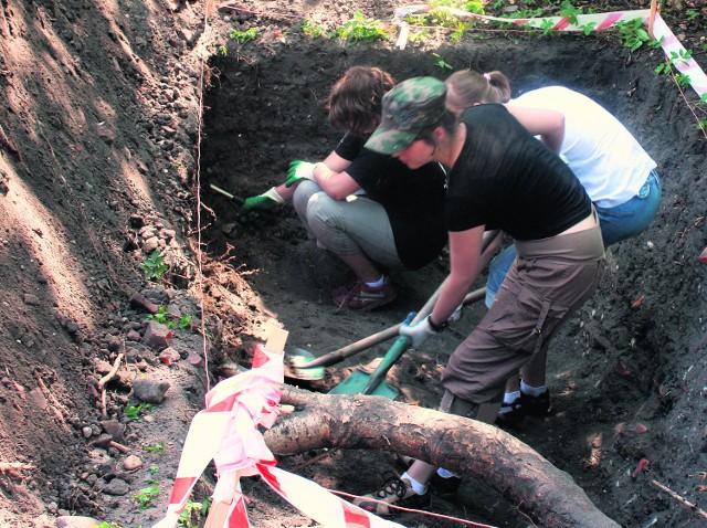 Podczas obozu młodzież w praktyce pozna pracę archeologa