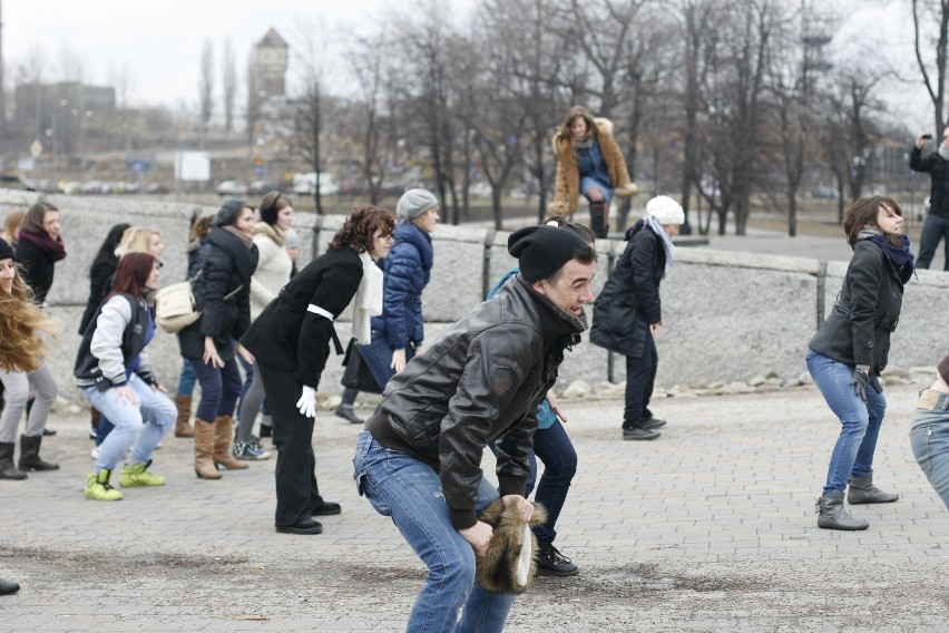 Taneczny flashmob w Katowicach [ZDJĘCIA]