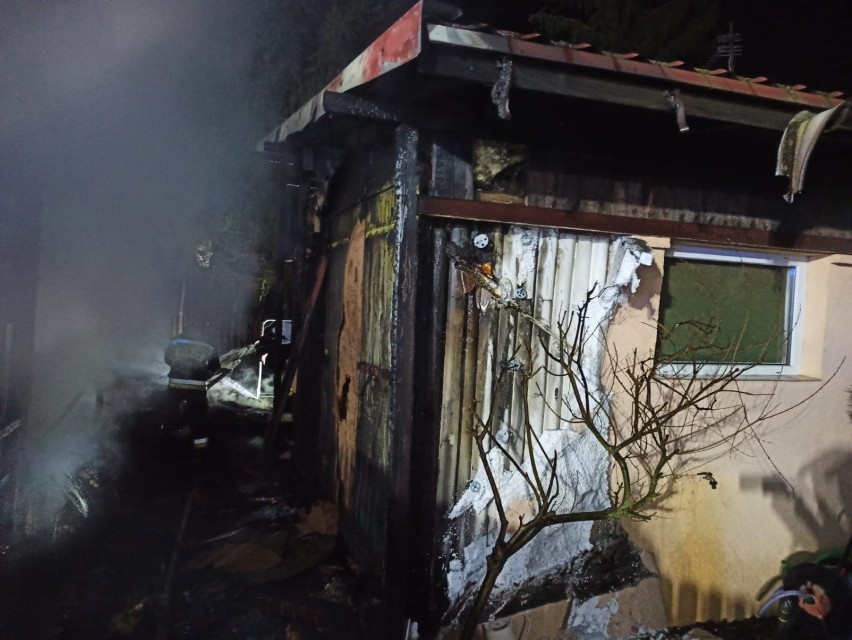 Pożar na działkach w Rudniku. Spłonął jeden domek, dwa zostały uszkodzone [zdjęcia, wideo]