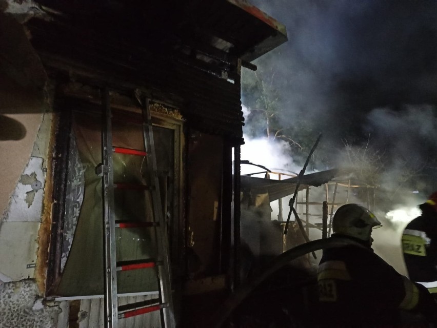 Pożar na działkach w Rudniku. Spłonął jeden domek, dwa zostały uszkodzone [zdjęcia, wideo]