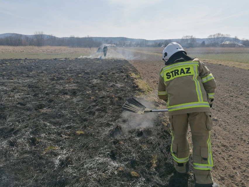 Pożar traw w Krygu i Lipinkach, 20 marca 2022 r