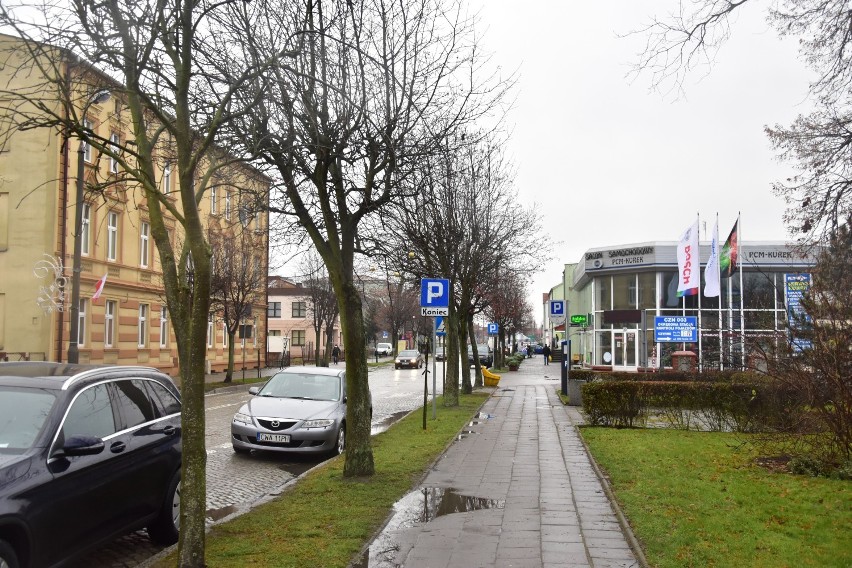 Mieszkańcy Żnina w obronie alei drzew na ulicy 700-lecia...