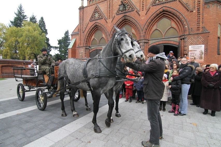Wrocław: Konie stratowały sześć osób na ul. Kasprowicza. Trzy trafiły do szpitala