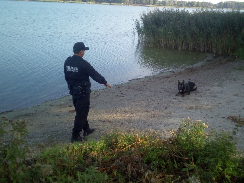 Szkolenie psów z Komendy Powiatowej Policji w Radziejowie [zdjęcia]