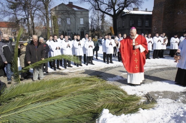 Palmy święcone w Katedrze Poznańskiej