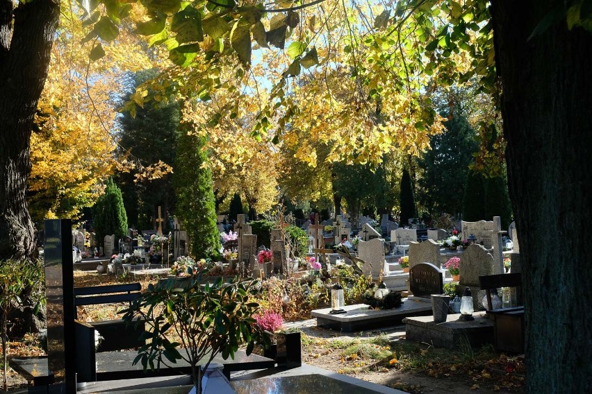 Na kilka dni przed Świętem Zmarłych odwiedziliśmy cmentarz...