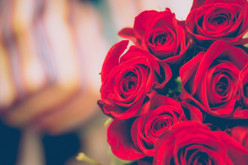 Również ilość róż, które wręczamy ukochanej osobie ma swoją...