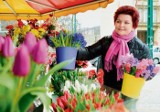 Poznań: Kwiaciarze szykują się na żniwa. Na rynkach zagościła wiosna