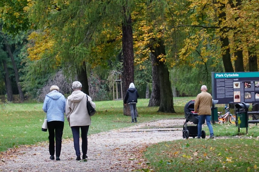 Poznaniacy aktywnie spędzają sobotnie popołudnie. Wybrali...