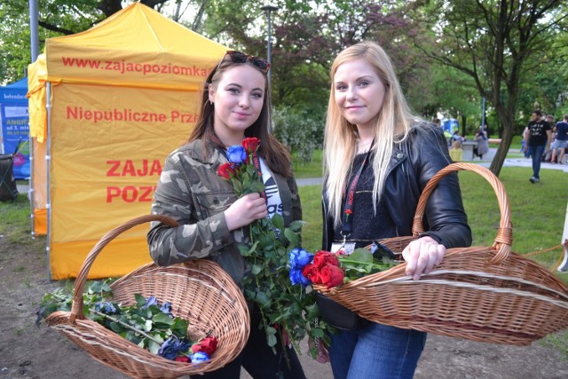 W tym roku ponownie w Parku Hallera przygotowano masę atrakcji dla mieszkańców miasta