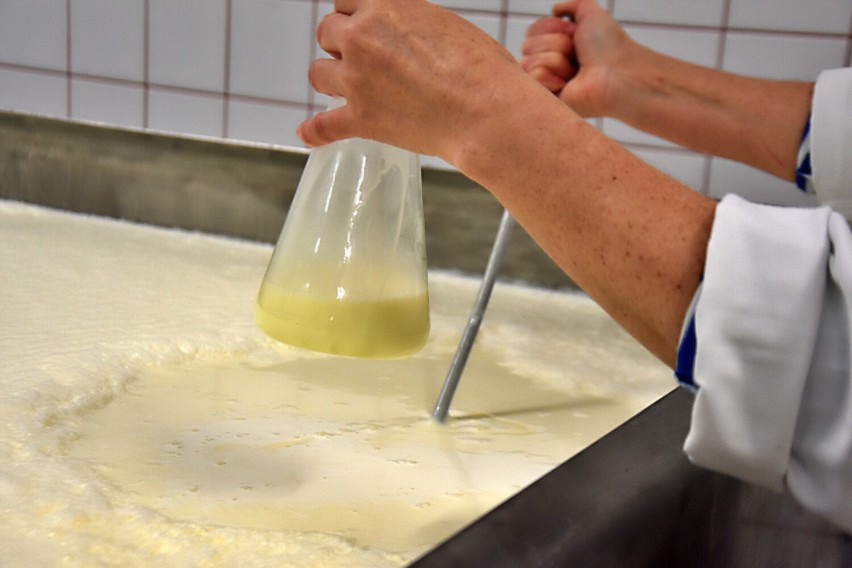 Tak powstaje słynne masło z łużniańskiej mleczarni