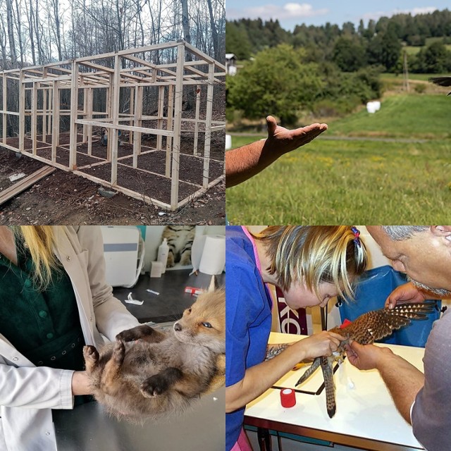 Budują ośrodek leczenia i rehabilitacji dzikich zwierząt