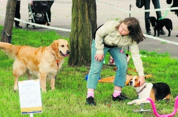 Majówka na Łęgach Dębińskich to pierwsza tak duża impreza przygotowana w ramach programu "Kejter też poznaniak"