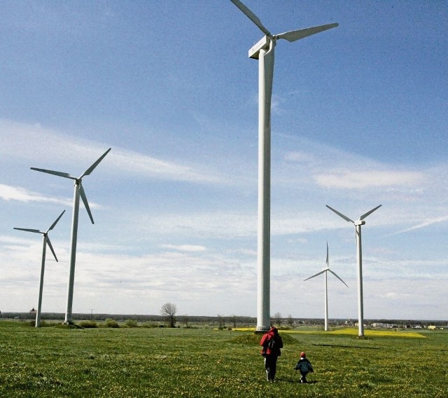 Farmy wiatrowe działają już w Wielkopolsce. To popularna, ale droga forma pozyskania energii