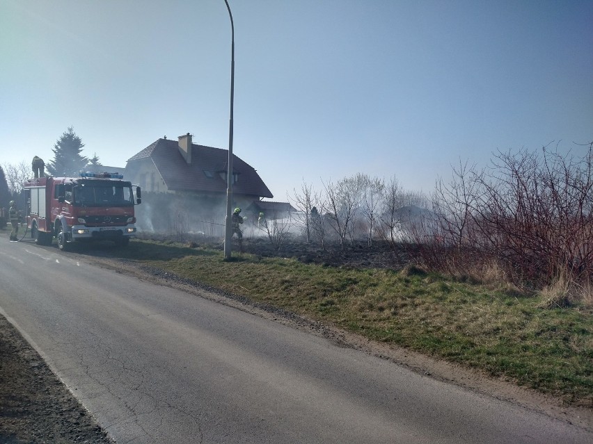 Pożar wczoraj o godzinie 8:41 gasiły dwa zastępy straży...