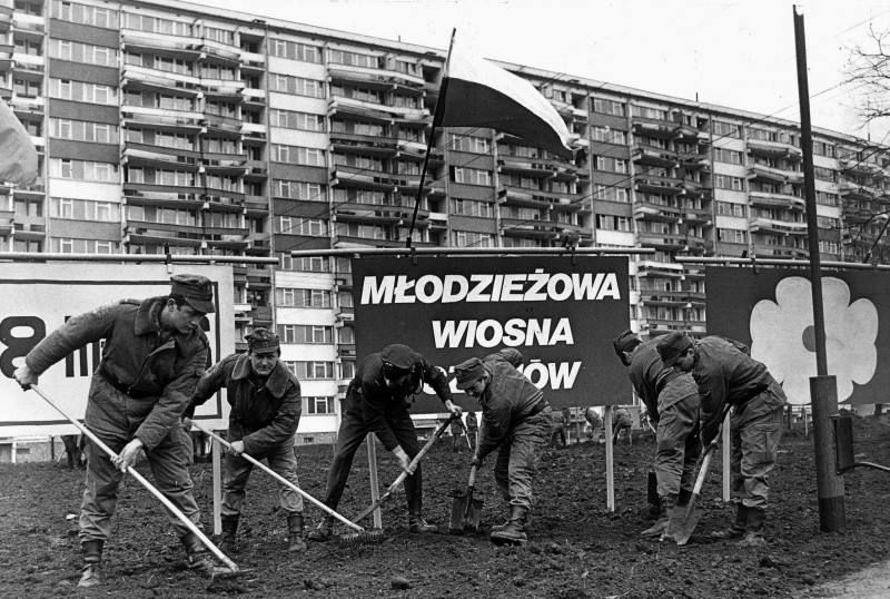 Wrocław. Żołnierze porządkowali osiedlowe skwery