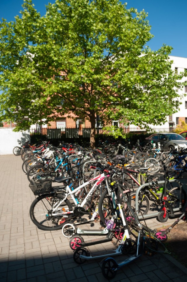 Rowerowy Maj 2019, Warszawa. W tym roku rekordowa liczba dzieci weźmie udział w akcji