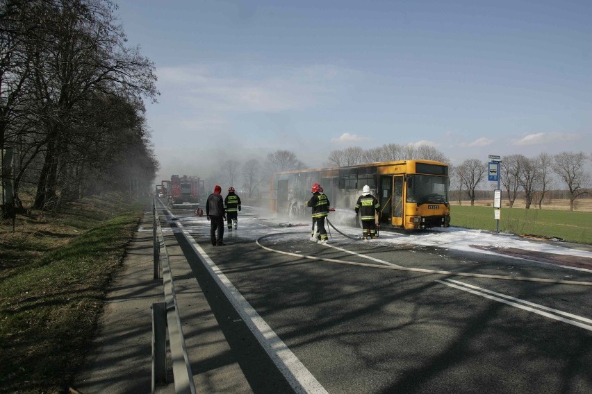 Pożar autobusu w Mikołowie
