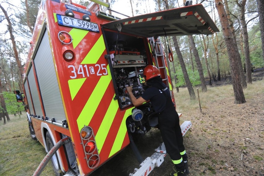 Nie był to jedyny czwartkowy pożar poszycia lasu w Toruniu i...